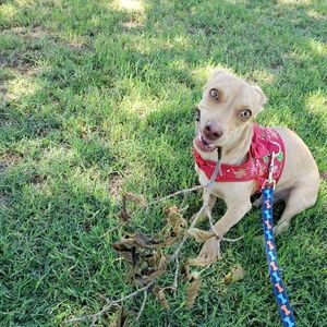 Meet your Posher, Jose